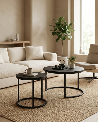 Nesting Coffee Tables, Set of 2