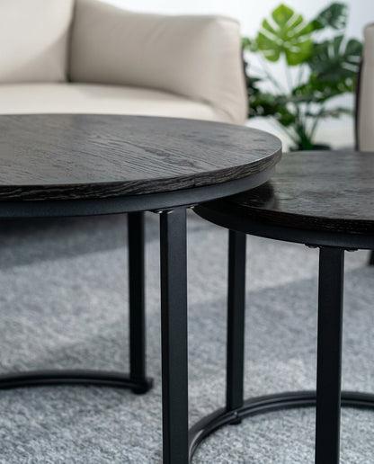 Nesting Coffee Tables, Set of 2